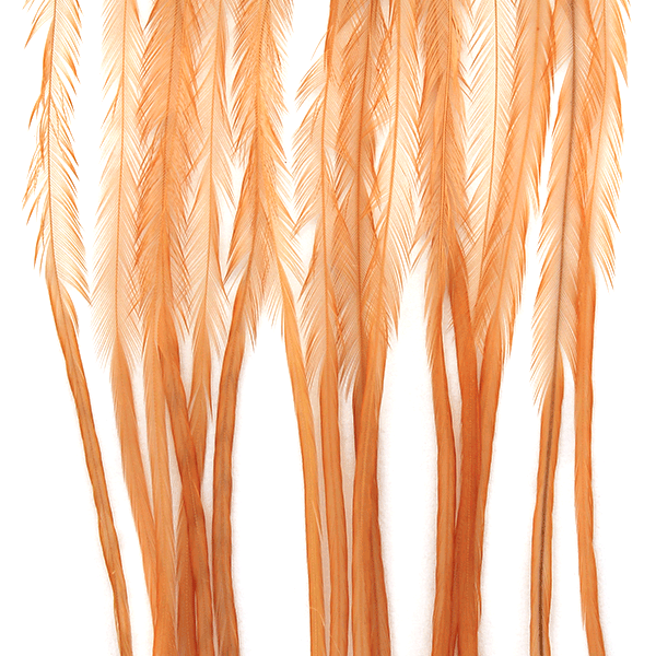 MFC WHITING 100 PACK FEATHERS