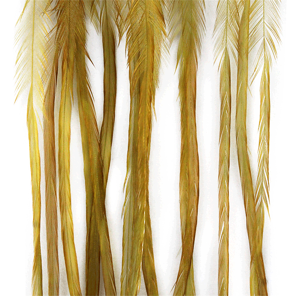 MFC WHITING 100 PACK FEATHERS