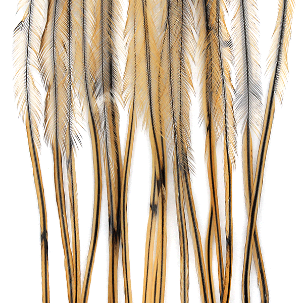 MFC WHITING 100 PACK FEATHERS