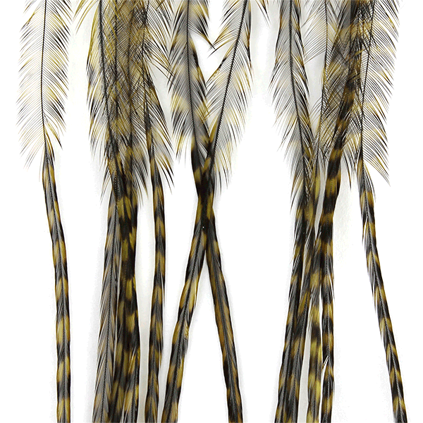 MFC WHITING 100 PACK FEATHERS