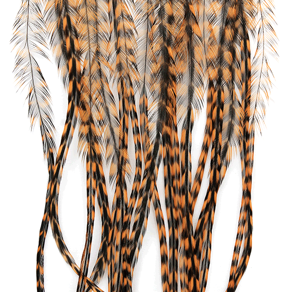 MFC WHITING 100 PACK FEATHERS