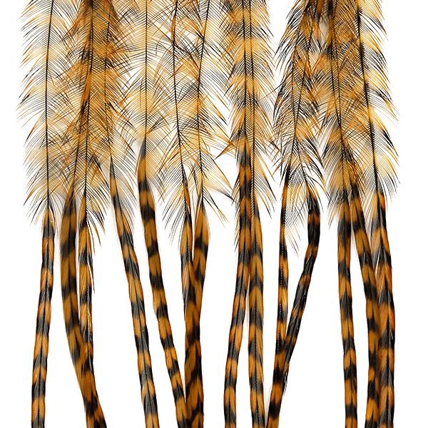 MFC WHITING 100 PACK FEATHERS