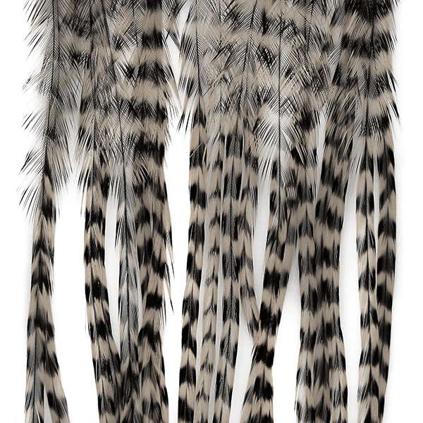 MFC WHITING 100 PACK FEATHERS