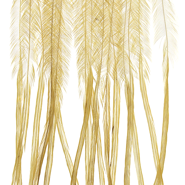 MFC WHITING 100 PACK FEATHERS
