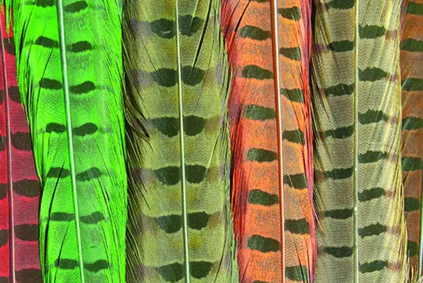 WAPSI PHEASANT TAIL
