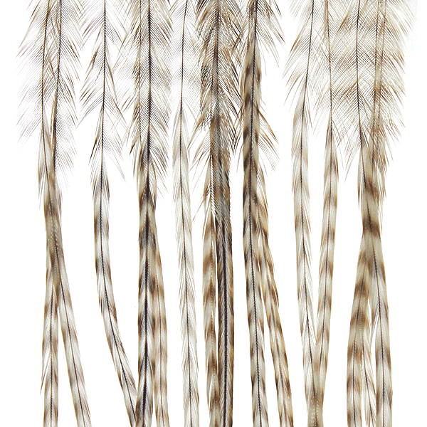 MFC WHITING 100 PACK FEATHERS