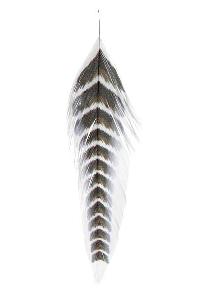 MFC GALLOUPS FISH FEATHERS GRIZZLED