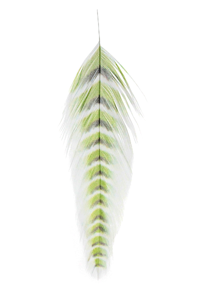 MFC GALLOUPS FISH FEATHERS GRIZZLED