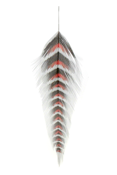 MFC GALLOUPS FISH FEATHERS GRIZZLED