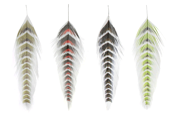 MFC GALLOUPS FISH FEATHERS GRIZZLED