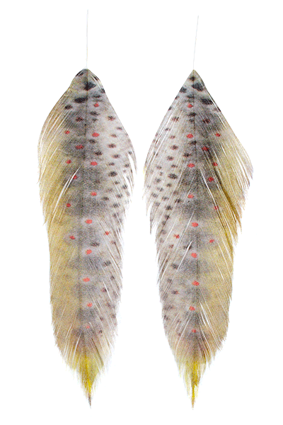 MFC GALLOUPS FISH FEATHERS