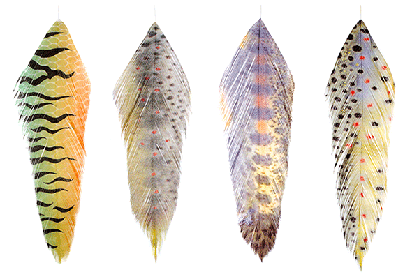 MFC GALLOUPS FISH FEATHERS