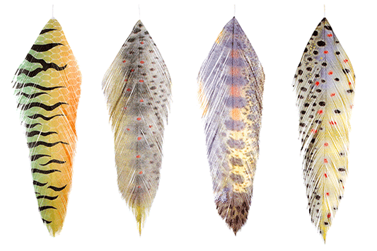 MFC GALLOUPS FISH FEATHERS