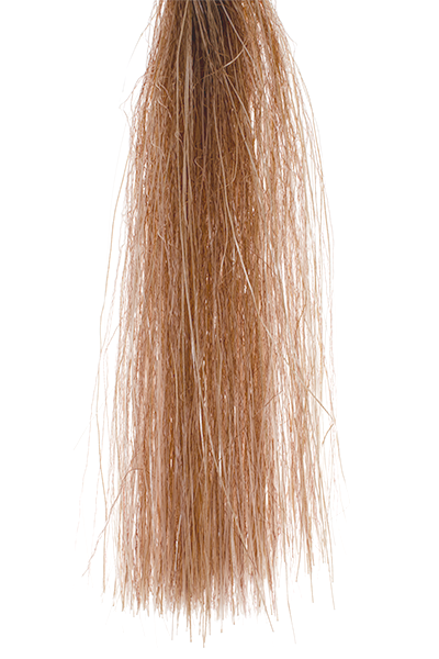 MFC SENYO SHADOW FIBER