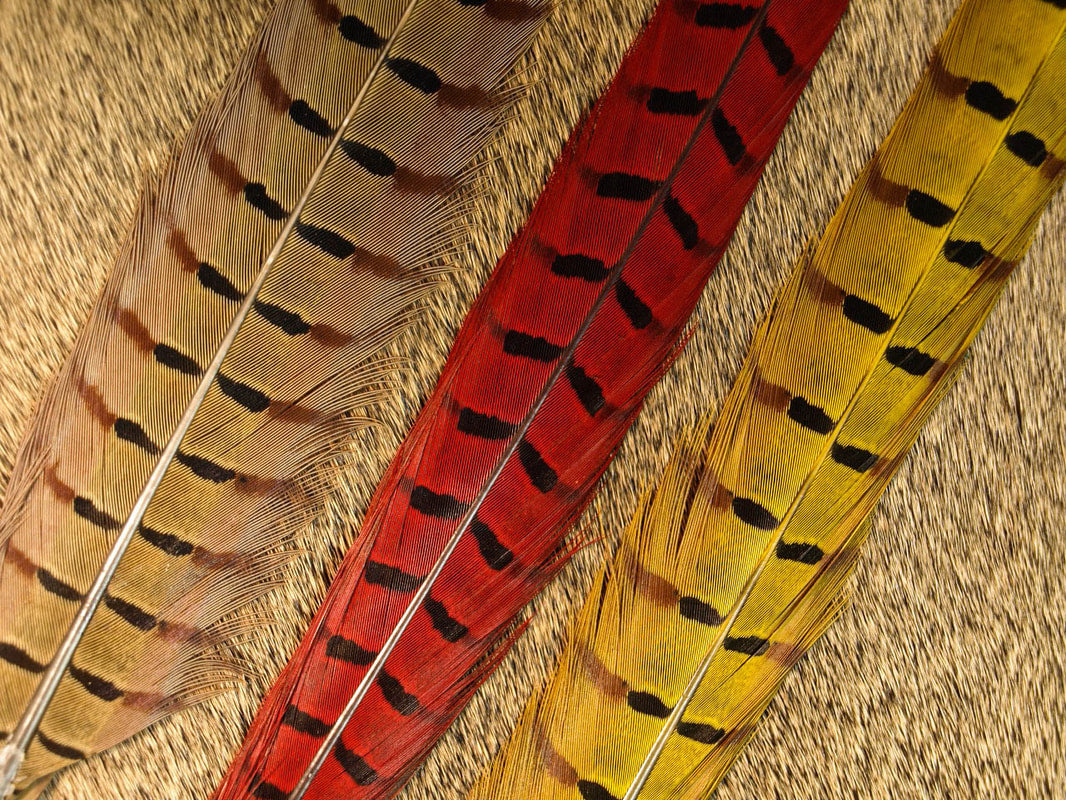 NATURES SPIRIT PHEASANT TAILS