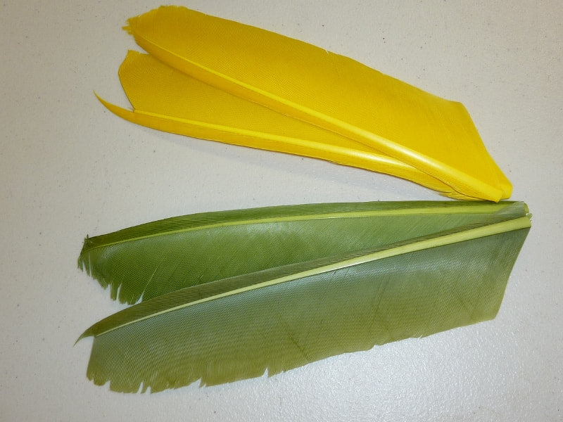 NATURES SPIRIT TURKEY BIOT QUILLS