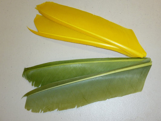 NATURES SPIRIT TURKEY BIOT QUILLS