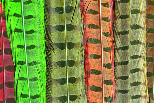 WAPSI PHEASANT TAIL