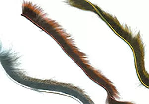 WAPSI PINE SQUIRREL ZONKER STRIPS