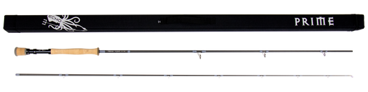 ECHO PRIME